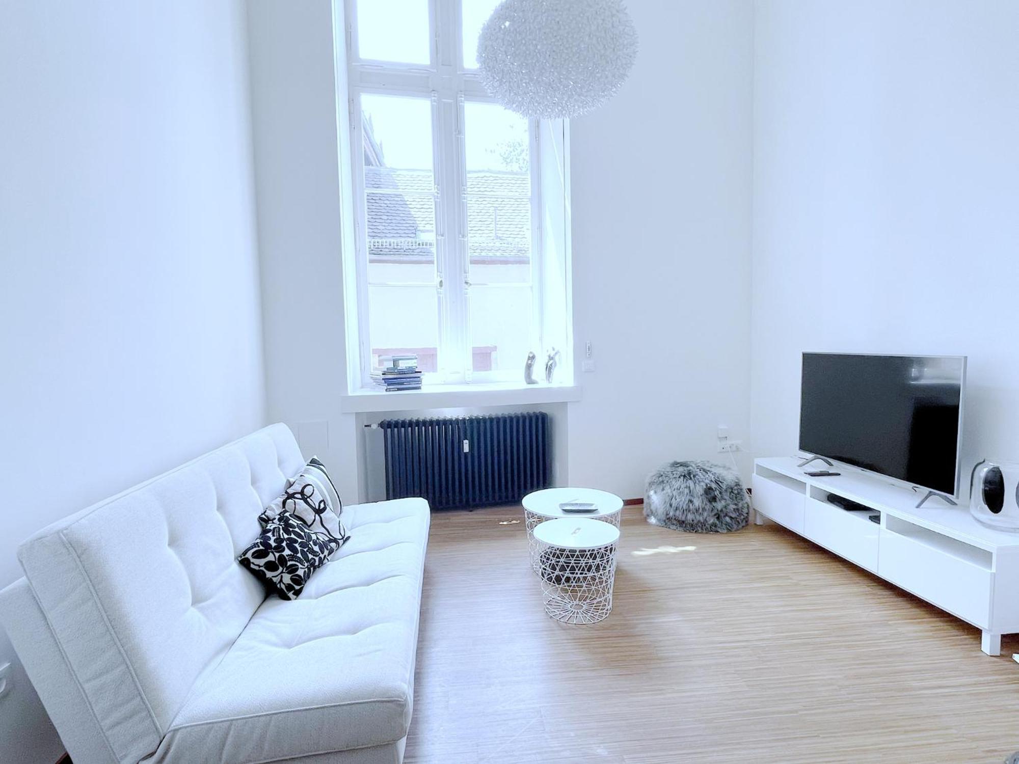 스트라스부르 Loft Saint Thomas - Petite France 아파트 외부 사진