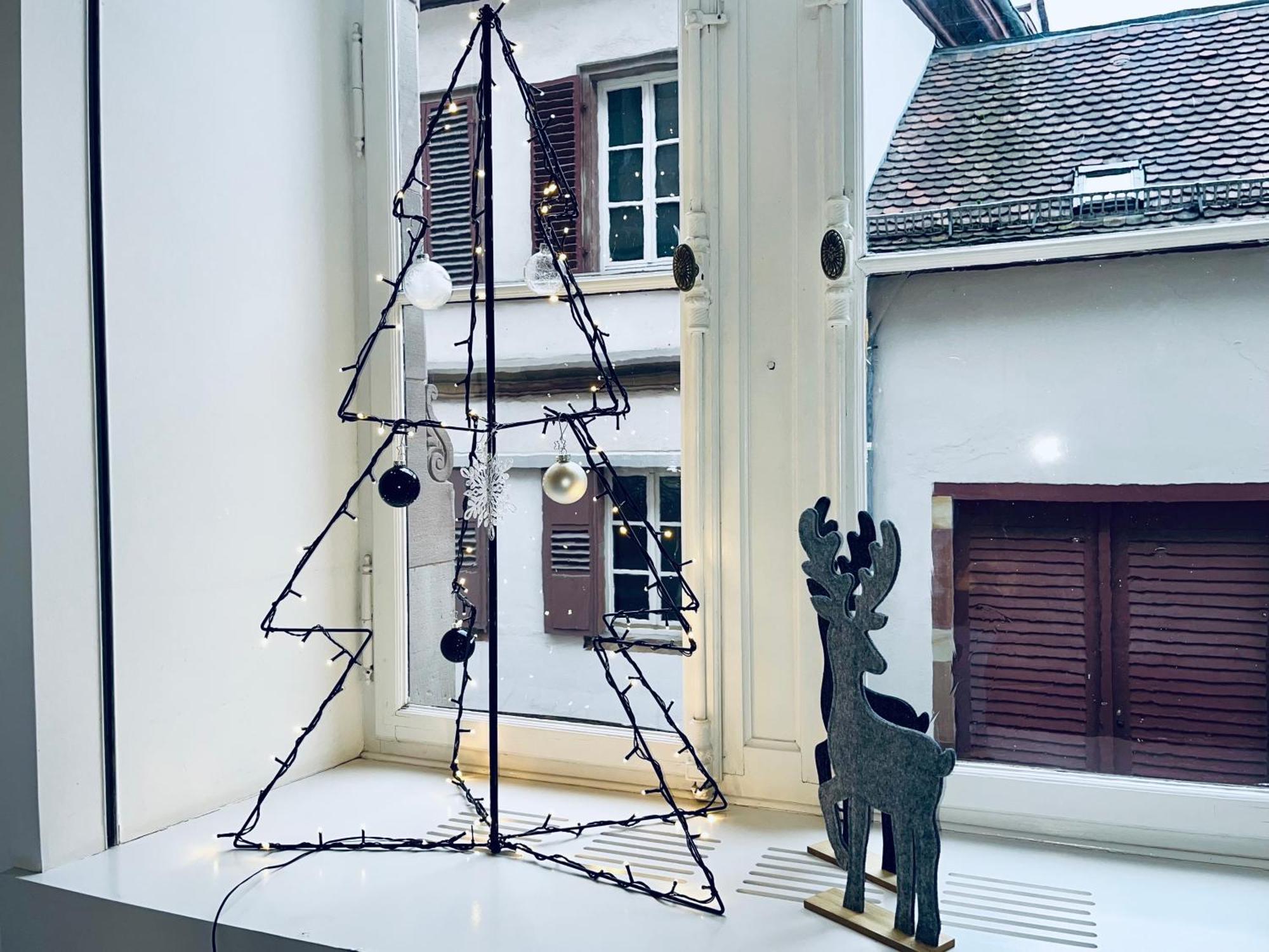 스트라스부르 Loft Saint Thomas - Petite France 아파트 외부 사진